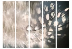 Separè Particle