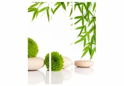 Separè Plant 2