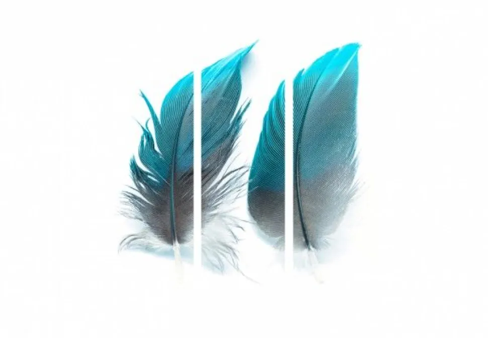 Separè Plumage 2