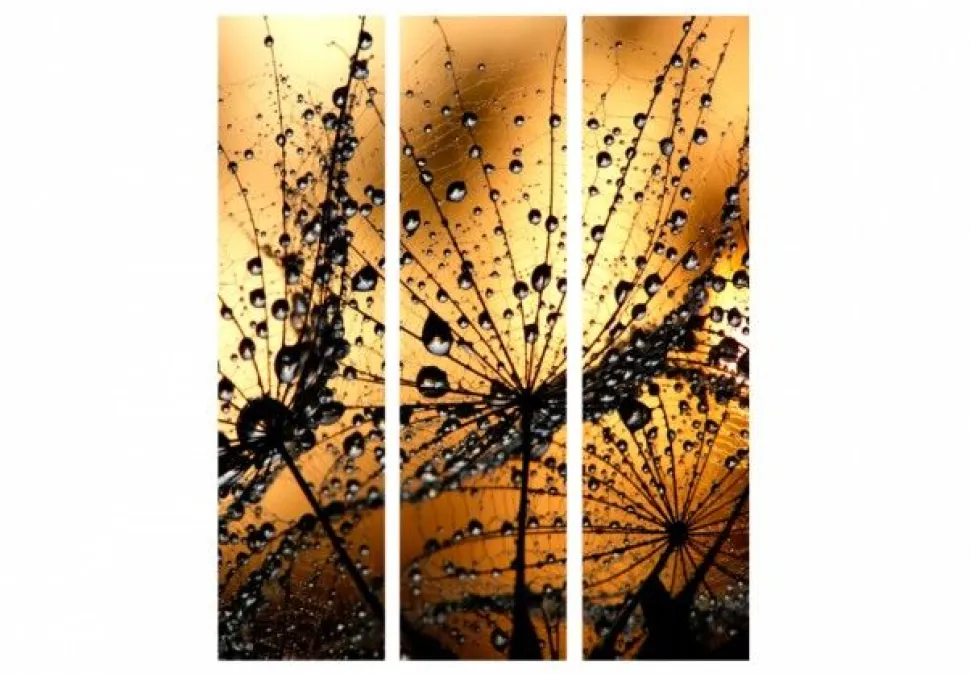 Separè Rain 2
