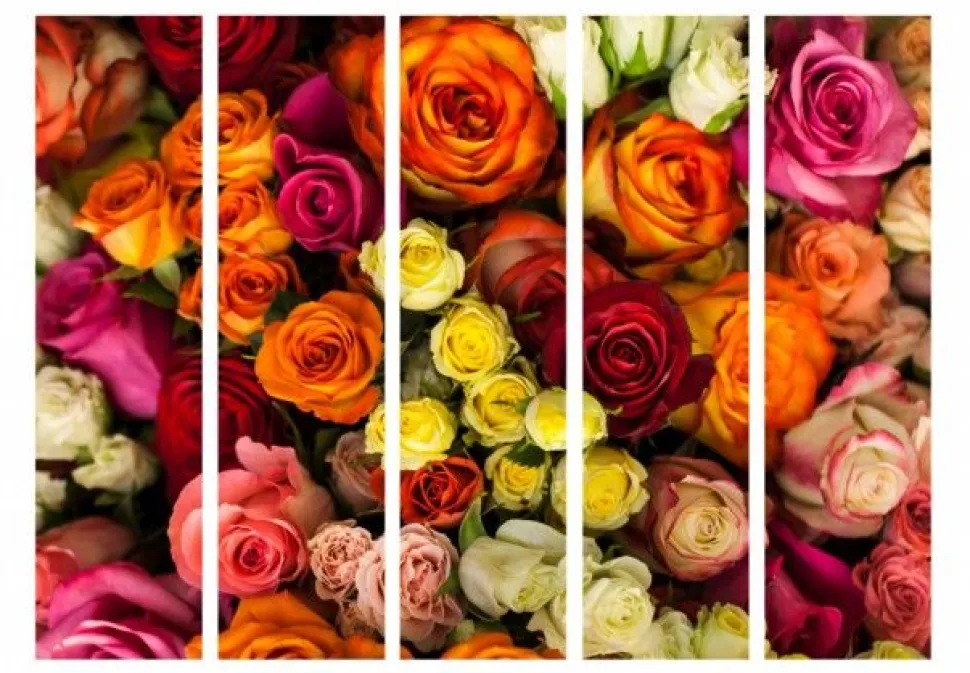 Separè Roses 2