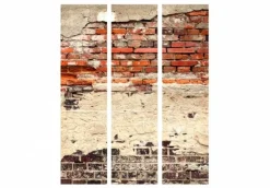 Separè Ruined 2