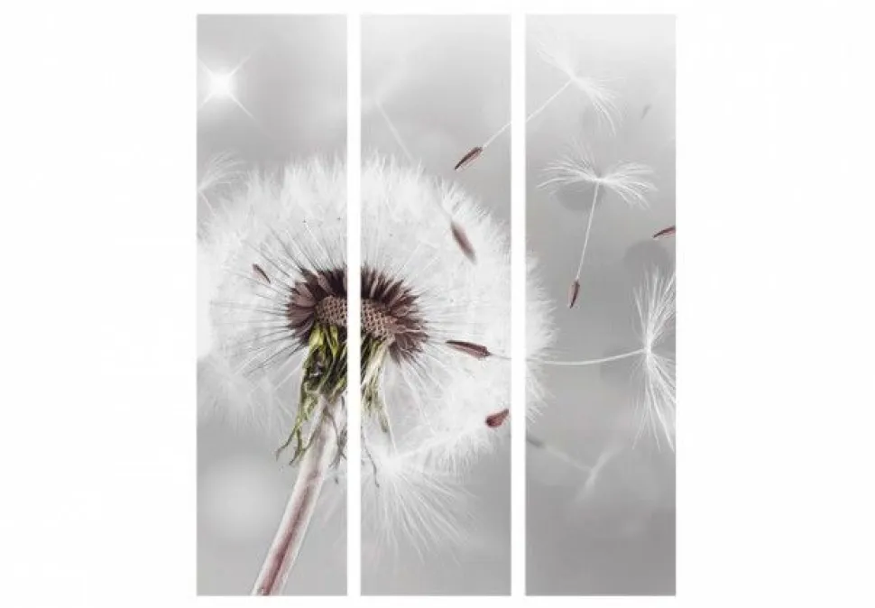 Separè Soft