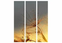 Separè Sun 2