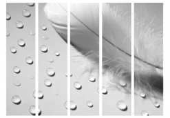 Separè Tear