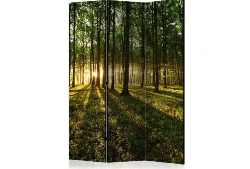 Separè Wood 2